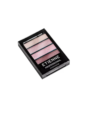 ETIENNE SOMBRA PROF ROSES N 03 X 4 COLORES