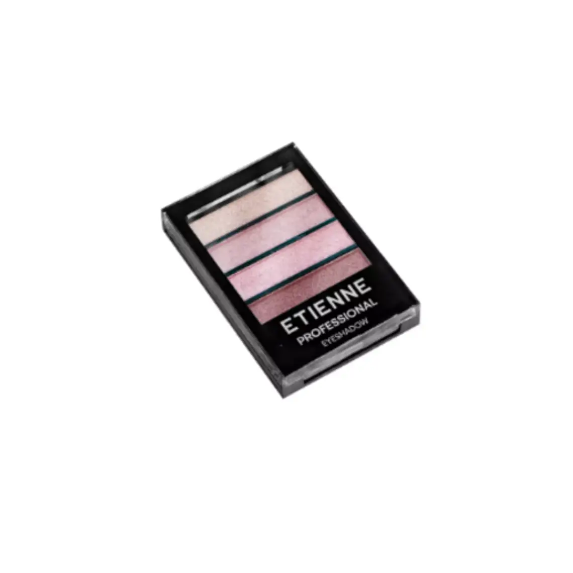 ETIENNE SOMBRA PROF EARTH N 02 X 4 COLORES 1
