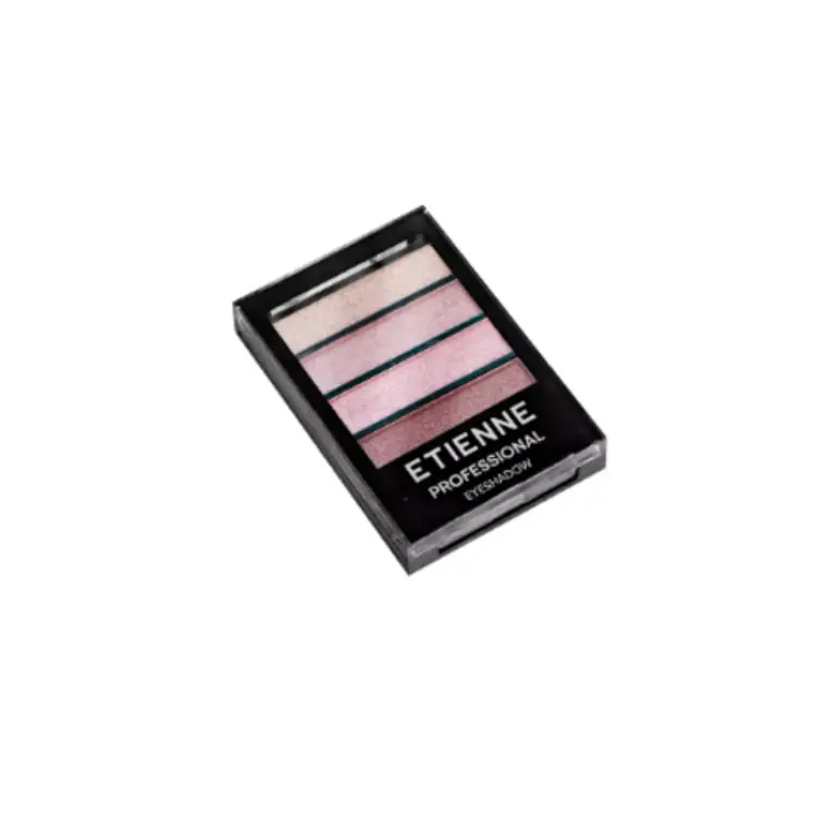 ETIENNE SOMBRA PROF EARTH N 02 X 4 COLORES 1