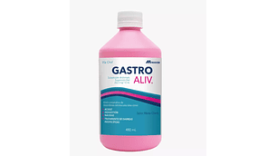Gastro Aliv 262,5 mg / 15 ml Suspensión  oral 480 ml.