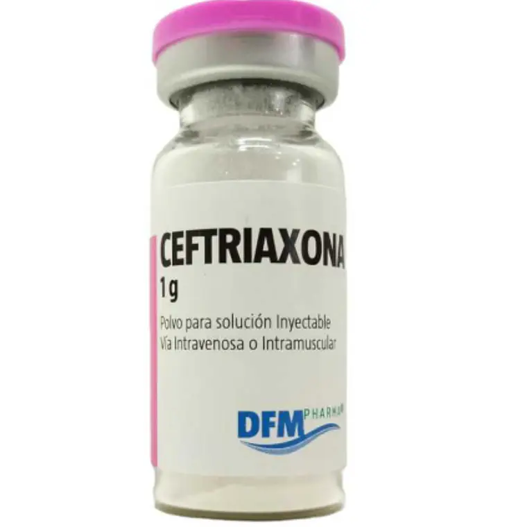 Ceftriaxona 1 g Polvo para solución inyectable Caja de 50 Ampollas. Difem 1