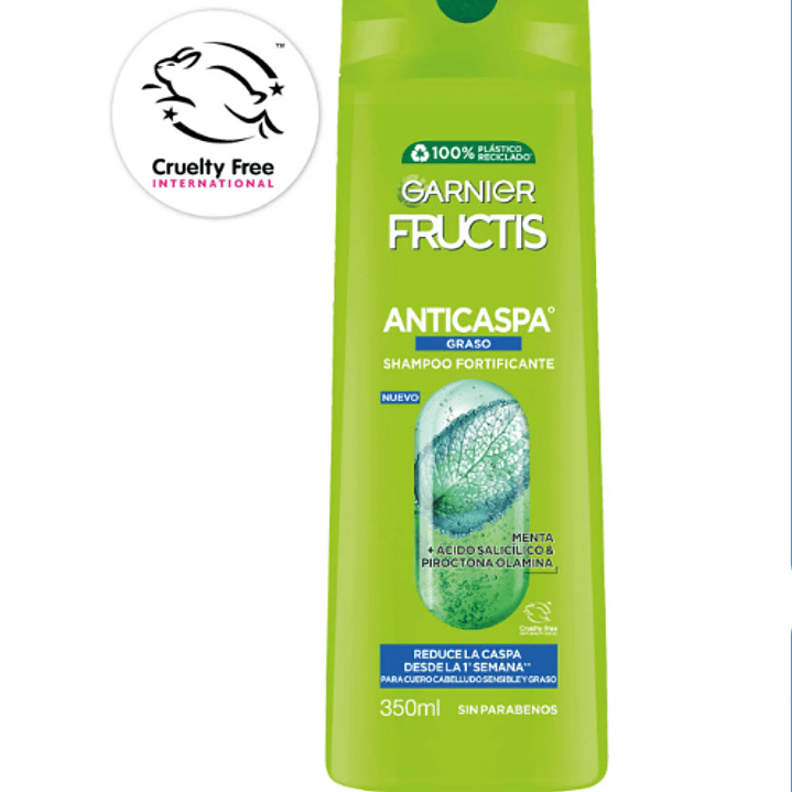 Garnier Fructis Shampoo anticaspa 350 ml. 1