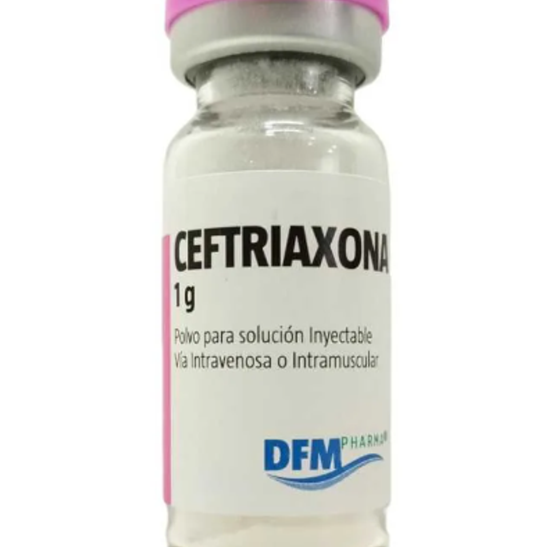 Ceftriaxona (B) 1 gr  Polvo para solución inyectable 10 Ampollas. Difem  1