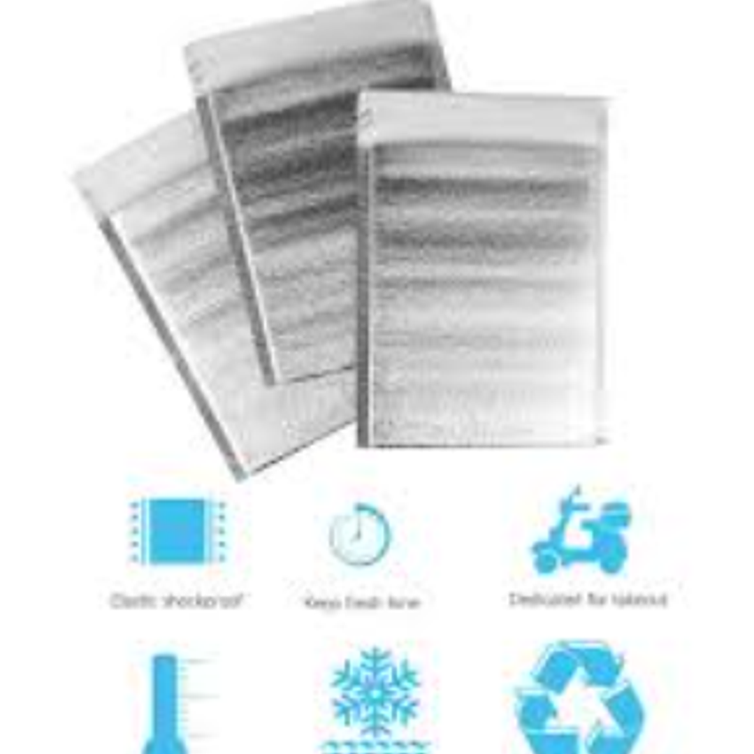 Bolsa térmica Recovery. 1