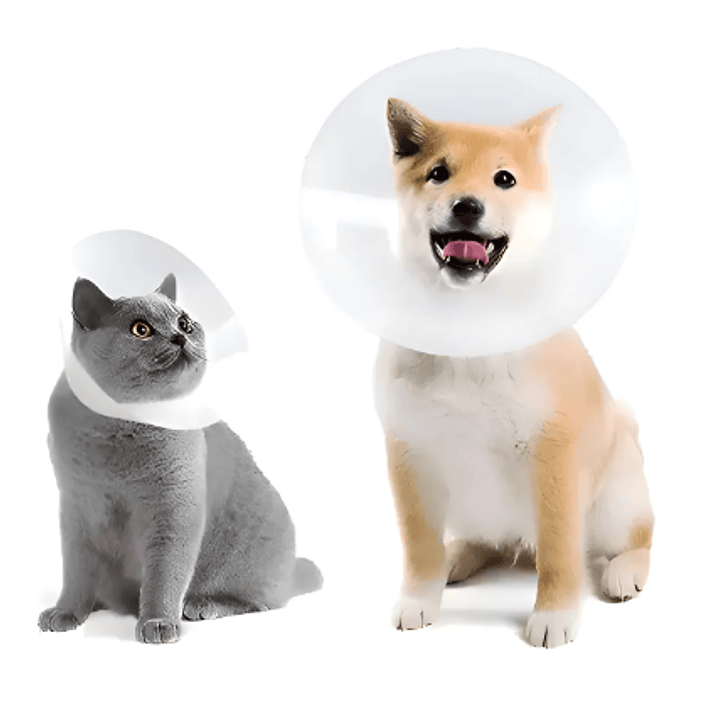 Collar Isabelino 12,5 cm x 0,8 mm. 1