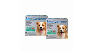 Nexgard para Perros de 10-25 Kilos 68 Mg, envase de  3 Tabletas Masticables