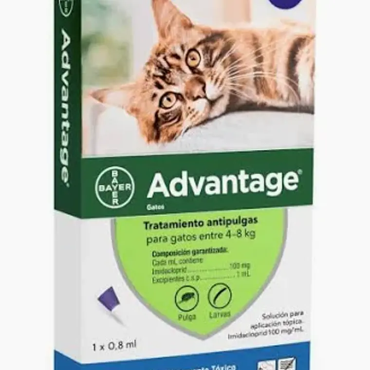 Advantage Gatos Pipeta hasta 4-8 Kilos 1