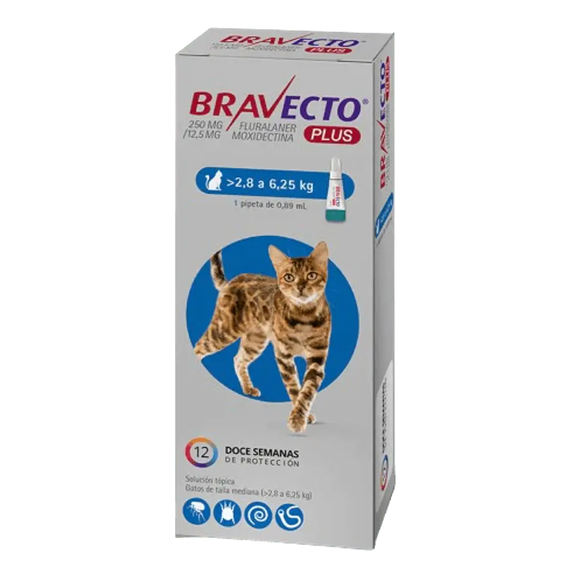 Bravecto Plus Antiparasitario Gatos 2,8 a 6,25 K 1 Pipeta. 1