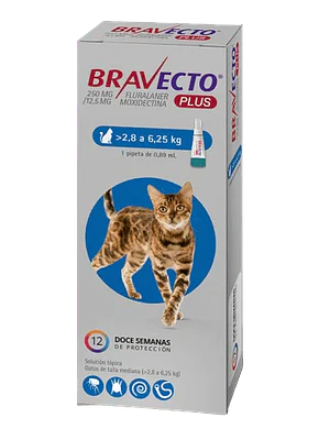 Bravecto Plus Antiparasitario Gatos 2,8 a 6,25 K 1 Pipeta.