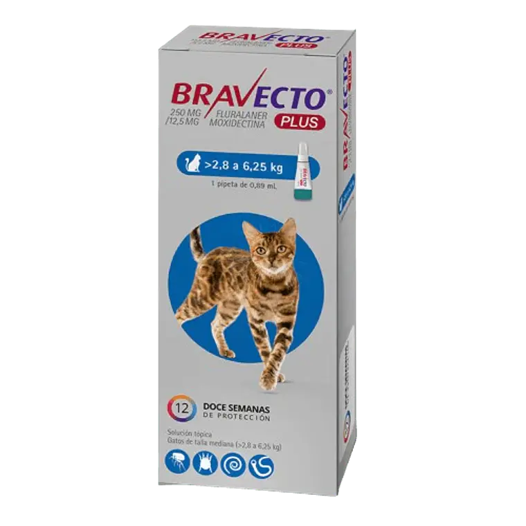 Bravecto Plus Antiparasitario Gatos 2,8 a 6,25 K 1 Pipeta. 1