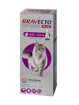 Bravecto Plus para Gato de 6.25-12.5 Kilos , envase de  1 Pipeta