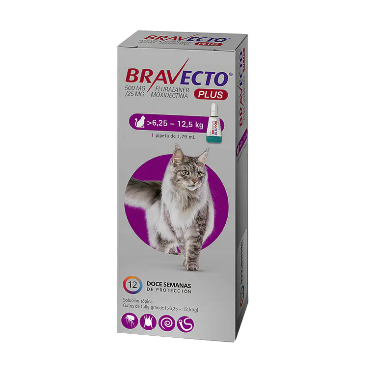 Bravecto Plus Antiparasitario Gato 6,25 a 12,5 K 1 Pipeta. Uso veterinario 1
