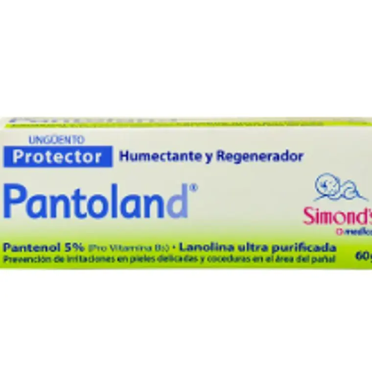 Pantoland Humectante regenerador Ungüento 60 g. 1