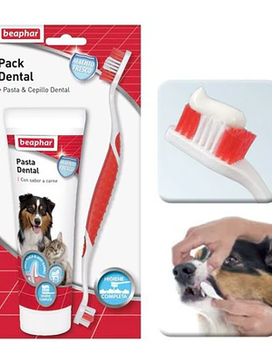 Pack dental gatos y Perros Cepillo + pasta de dientes 100 g. Beaphar