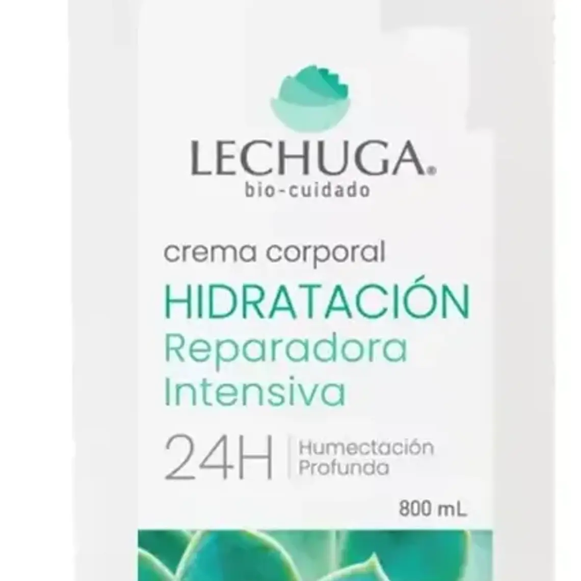 Lechuga Cuerpo Hidrat Repar Inten 800Ml 1