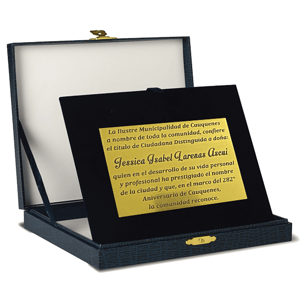 Galvano Estuche Terciopelo Placa 2