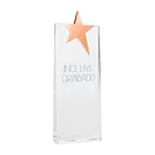 Galvano Ledecky A87 3