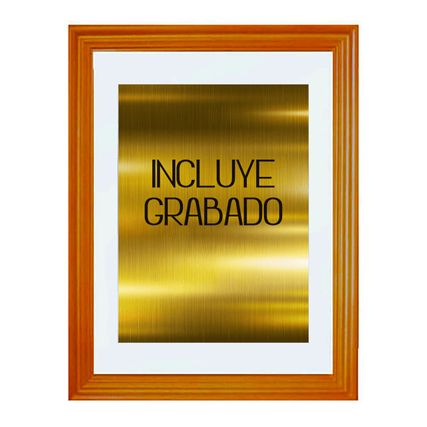 Galvano Vidrio Placa 1