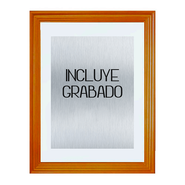 Galvano Vidrio Placa 2