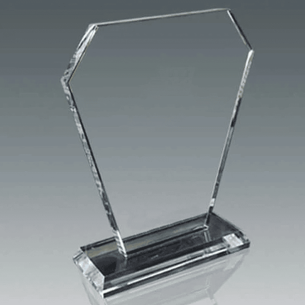 Especial Escudo 5167 1