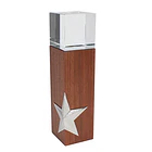 Trofeo Madera y Cristal A72  1