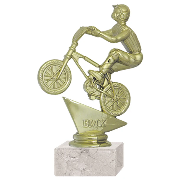 Trofeo Bicicross 2