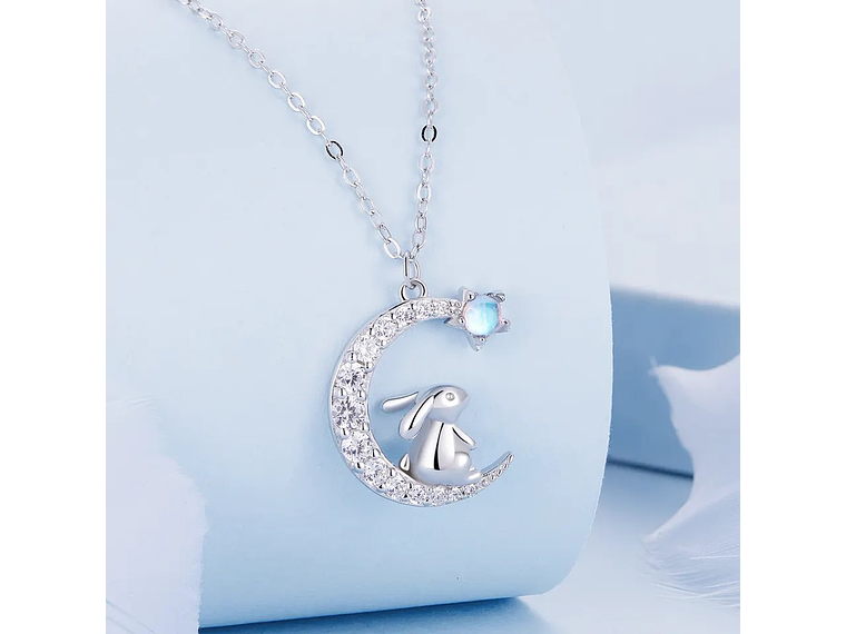 Collar Plata 925 Luna y Conejo 3