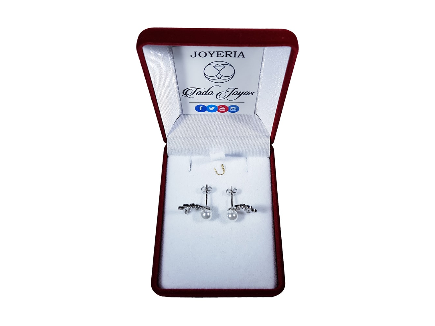 Aros Perla y Hojas Circones Plateado 2