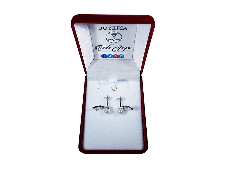 Aros Perla y Hojas Circones Plateado 2