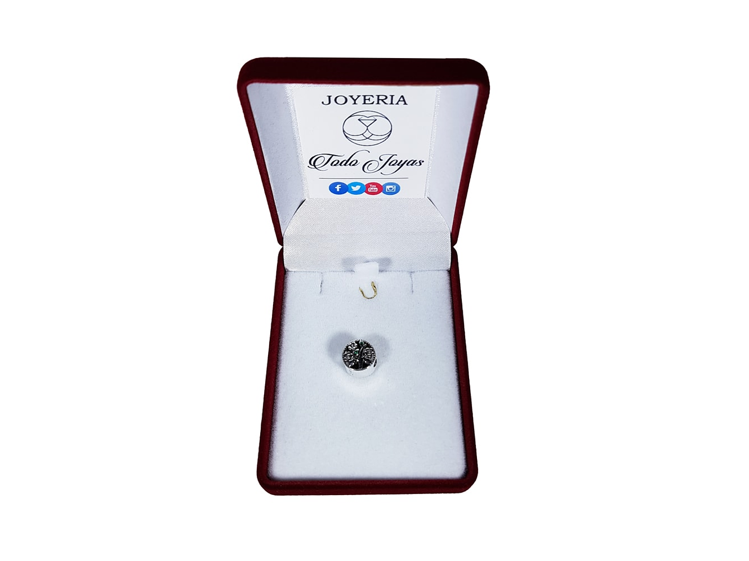 Charm Plata 925 Arbol de La Vida Circular 2