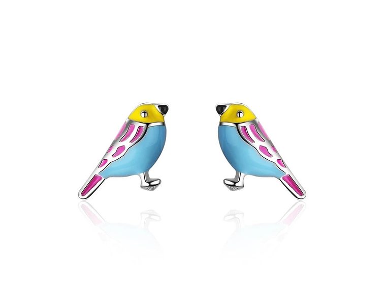 Aros de Pajaro Multicolor Plateado 1
