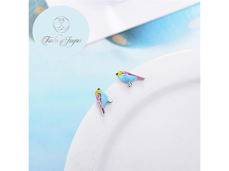 Aros de Pajaro Multicolor Plateado 3