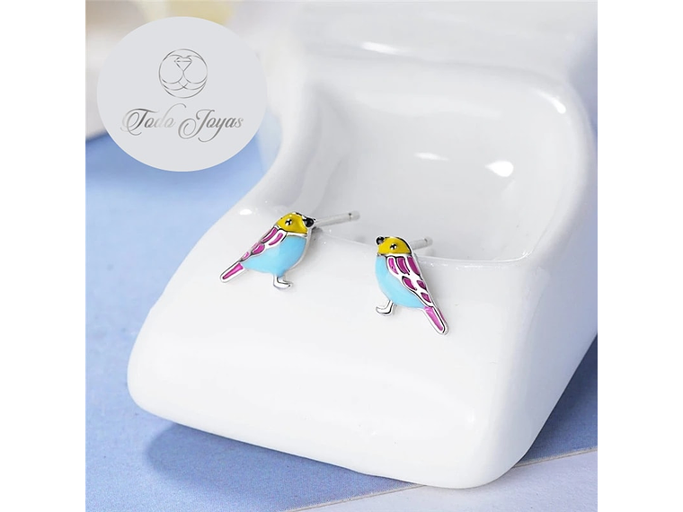 Aros de Pajaro Multicolor Plateado 4