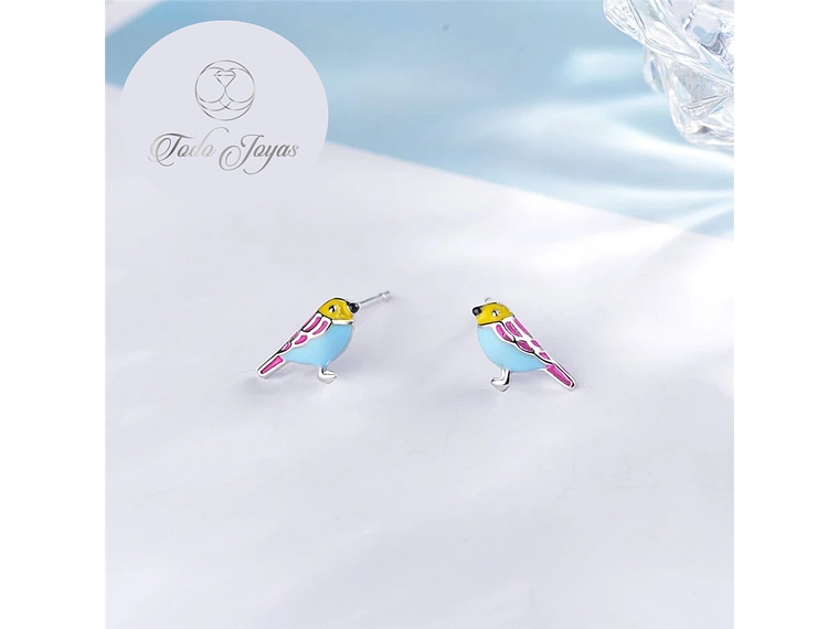 Aros de Pajaro Multicolor Plateado 5