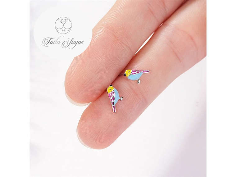 Aros de Pajaro Multicolor Plateado 6