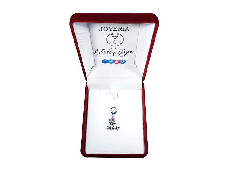 Charm Dije Plata 925 Amo a Mi Familia 2