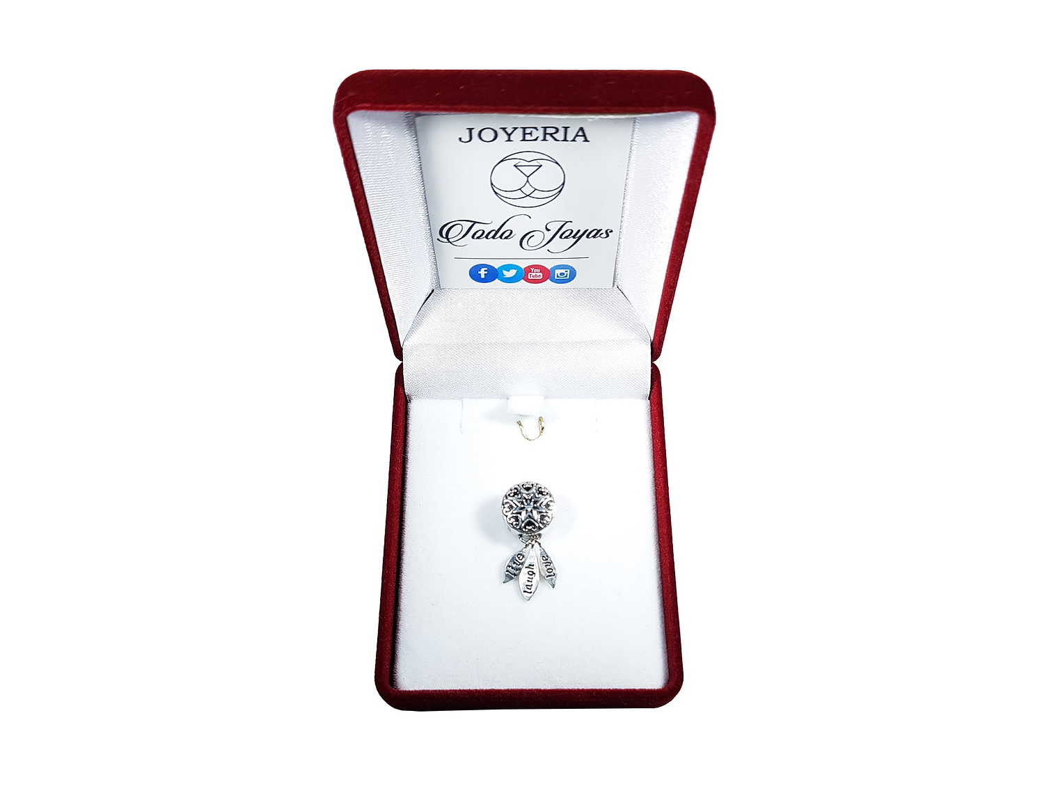 Charm Dije Plata 925 Atrapa Sueños Live 2