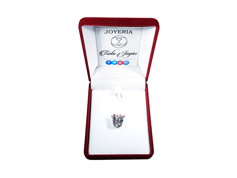 Charm Dije Plata 925 Corona De Reina 2