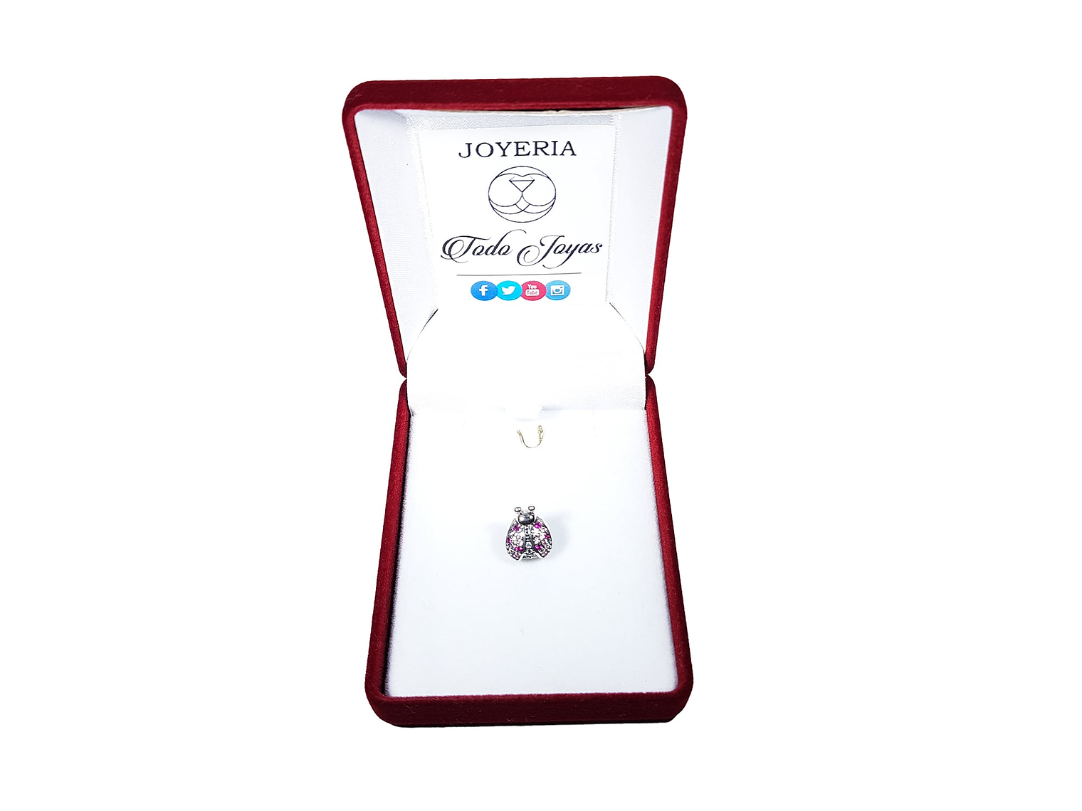 Charm Plata 925 Mariquita Rosada 2