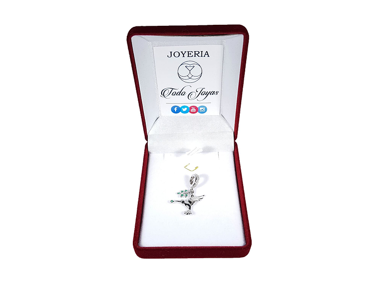 Charm Dije Plata 925 Colibri con Rama 2