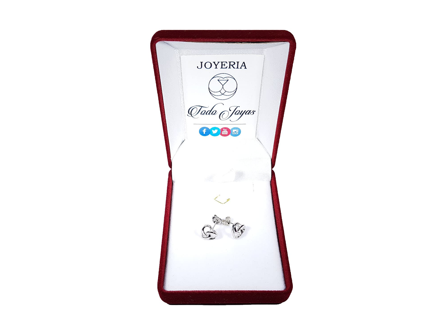 Aros de Corazon Infinito Plateado 2