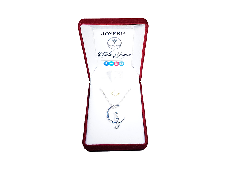 Collar Gato en Luna Mascota Plateado 2