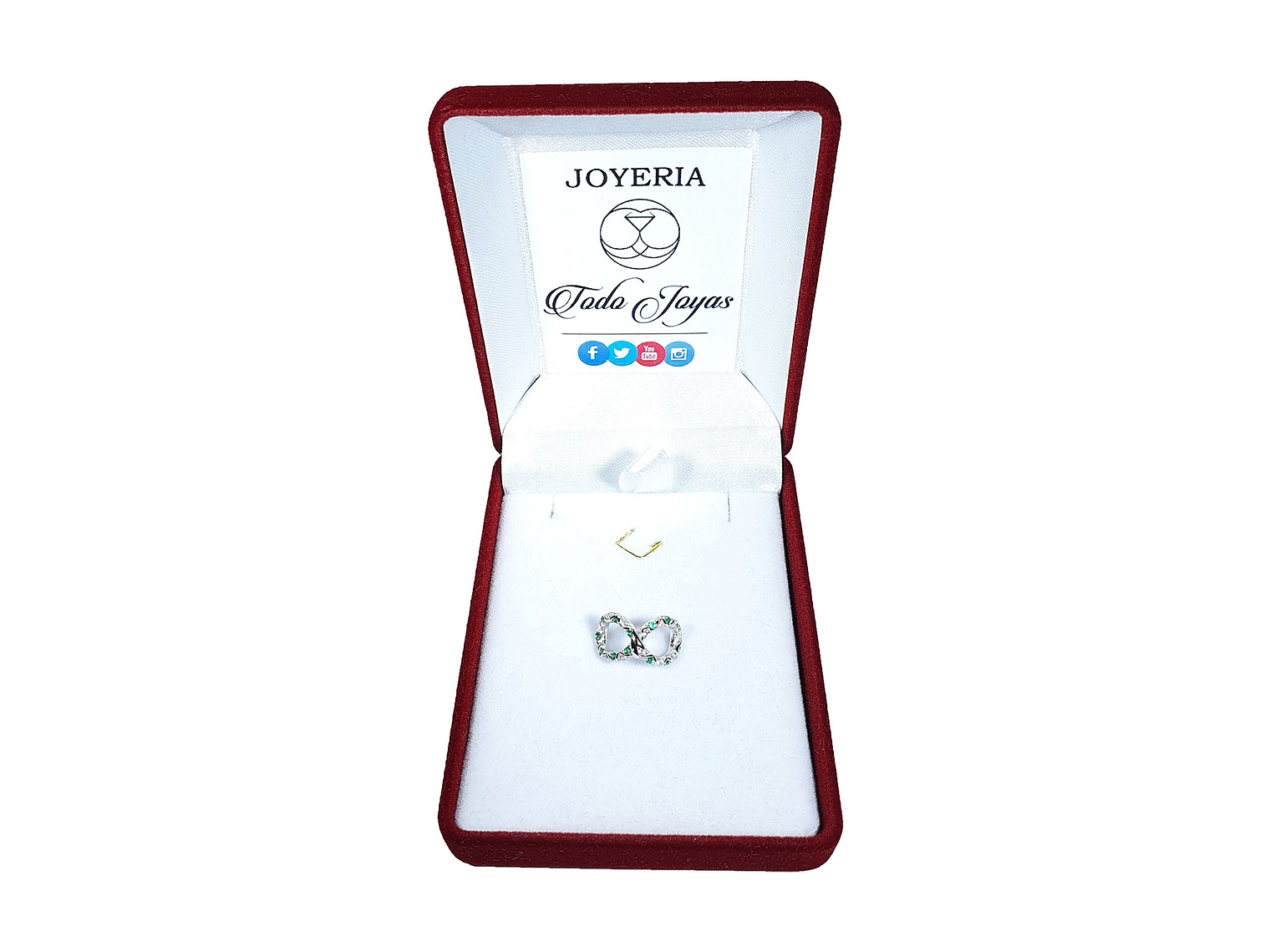 Charm Dije Plata 925 Infinto Serpiente 2