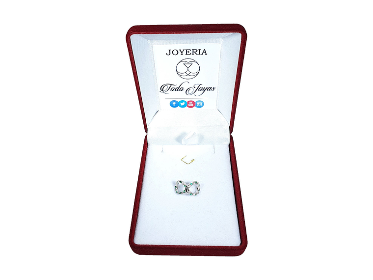 Charm Dije Plata 925 Infinto Serpiente 2