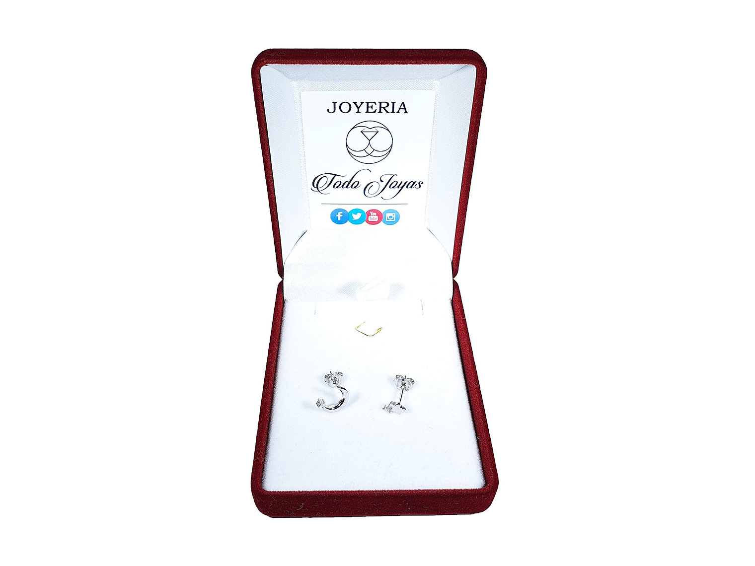 Aros de Luna y Estrella Plateado 2