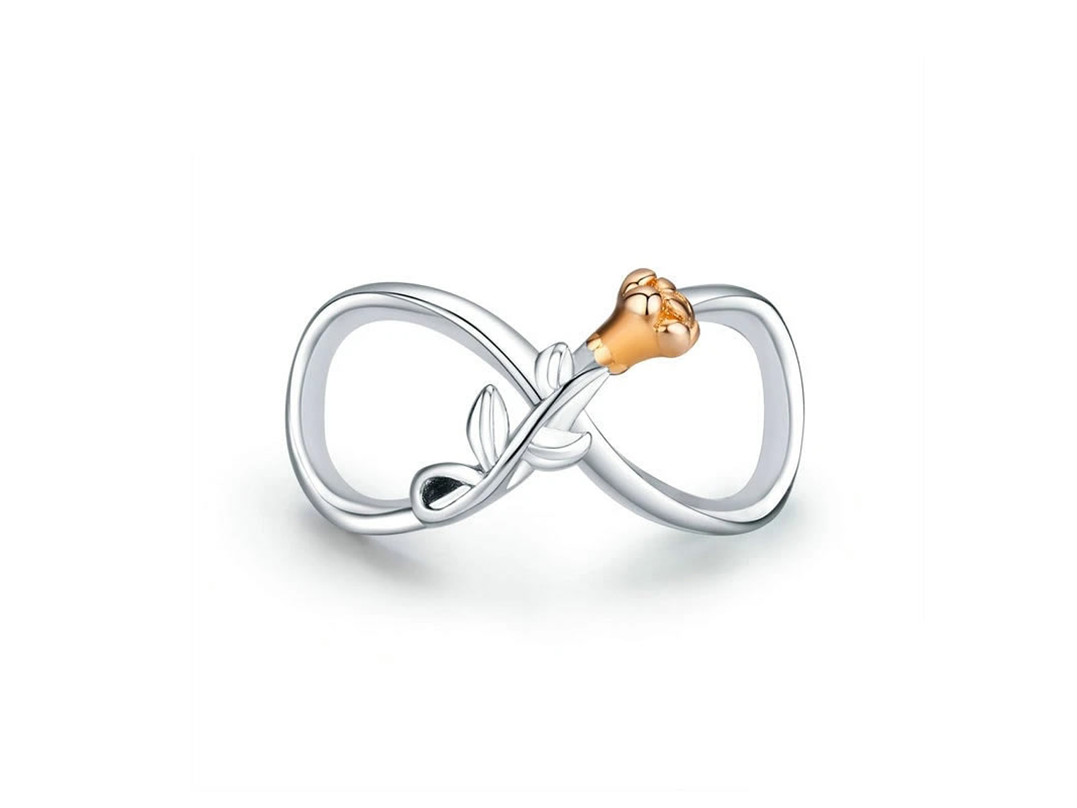 Charm Dije Plata 925 Infinito con Rosa 1