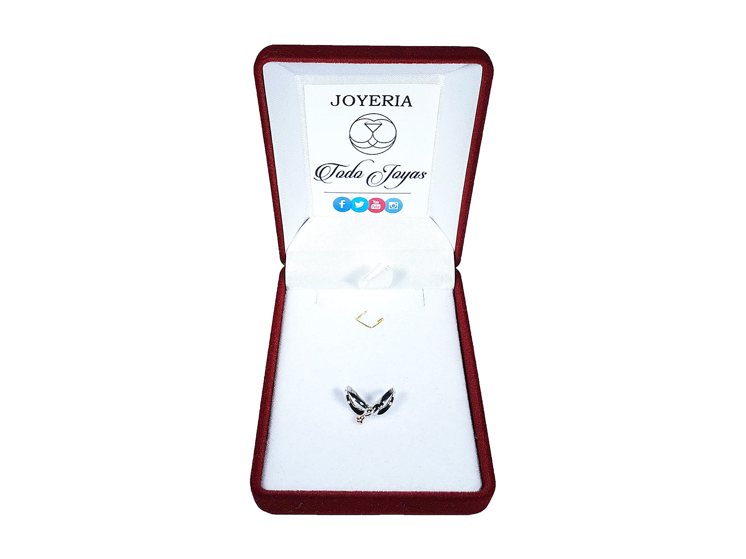 Charm Dije Plata 925 Infinito con Rosa 2