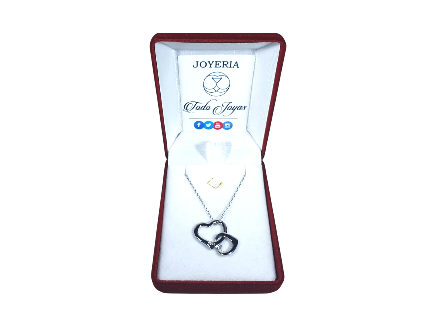 Collar Corazon Entrelazado Plateado 2
