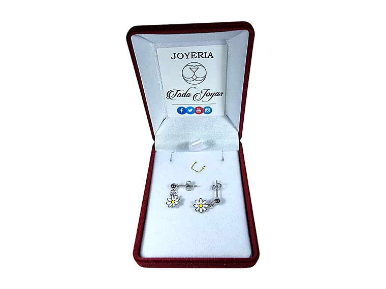 Aros Flor Margarita Plateados 2