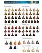 Tintura Color Perfect - Miniatura 2